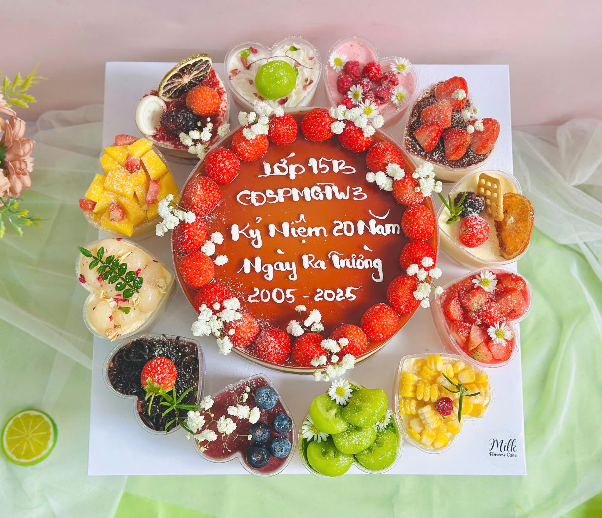 Set Plan gato và 12 cup tim